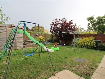 Picture 10